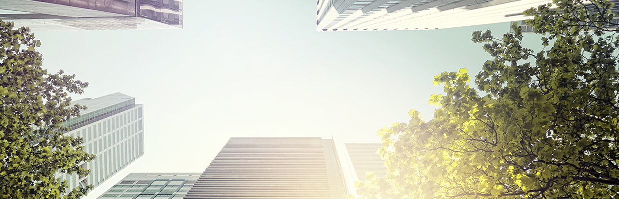 Looking up at Melbourne buildings