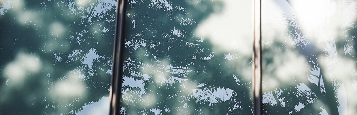 Trees reflecting on building windows