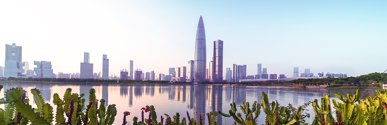 Shenzhen bay city skyline