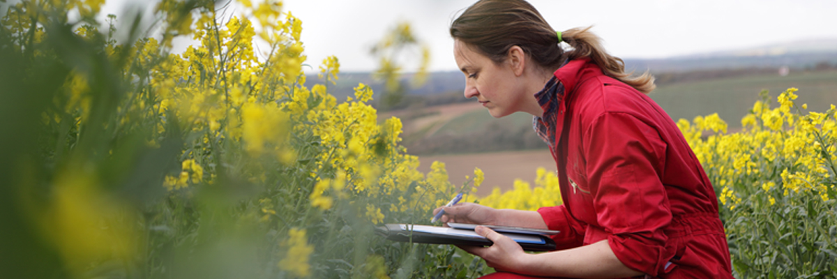 Woman checking flowers