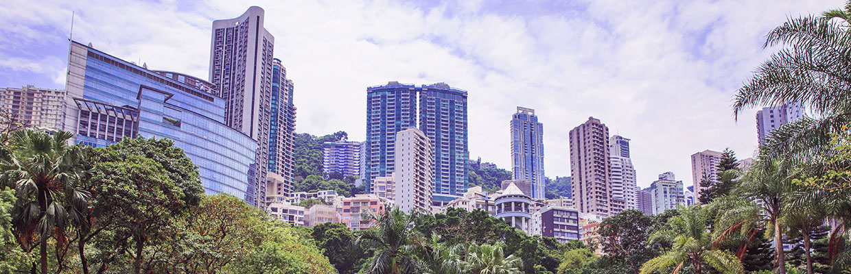 Palm tree buildings