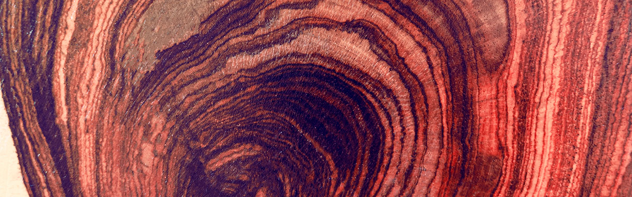 rosewood wind texture