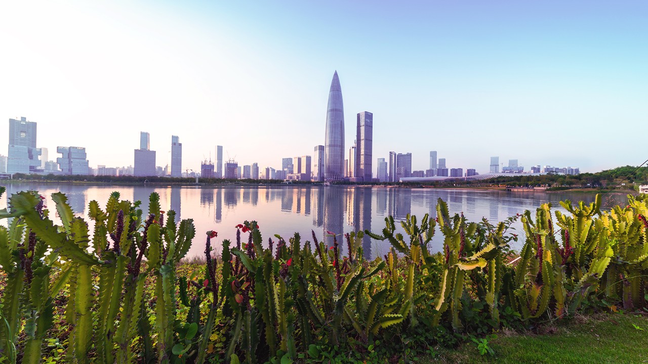 Shenzhen bay city skyline