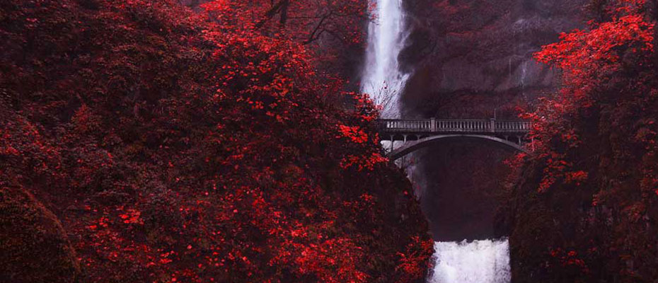 Bridge in front of a Waterfall