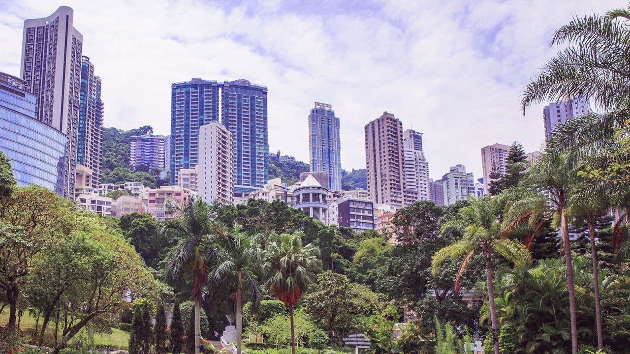 Palm tree buildings