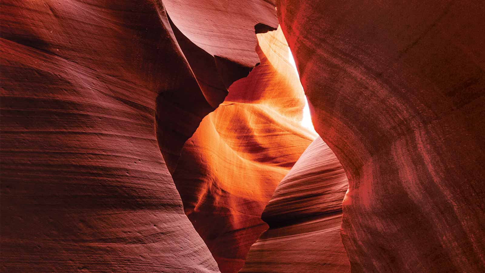 View Looking Up in the Canyon