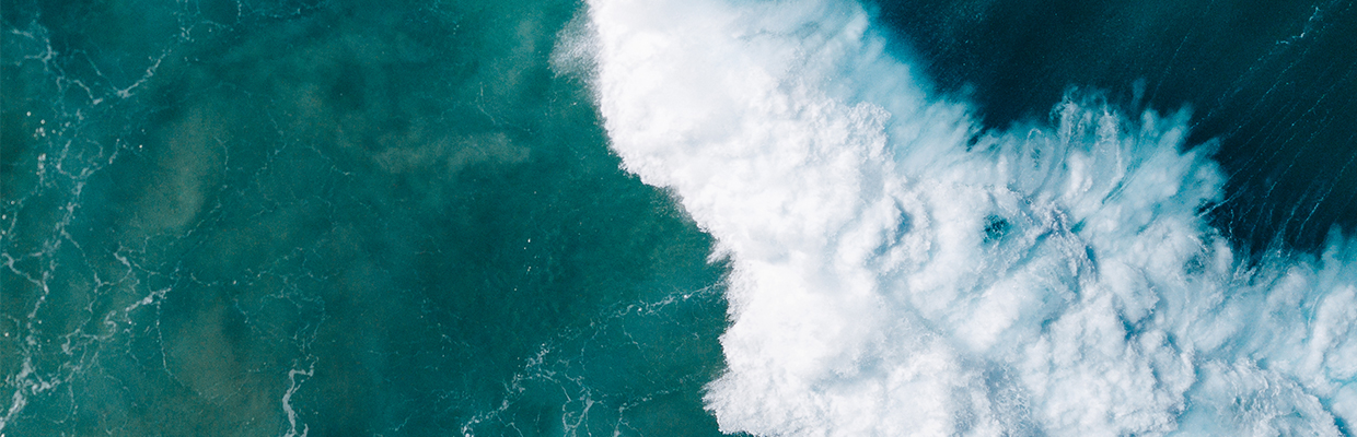 Surfing in Australia beach