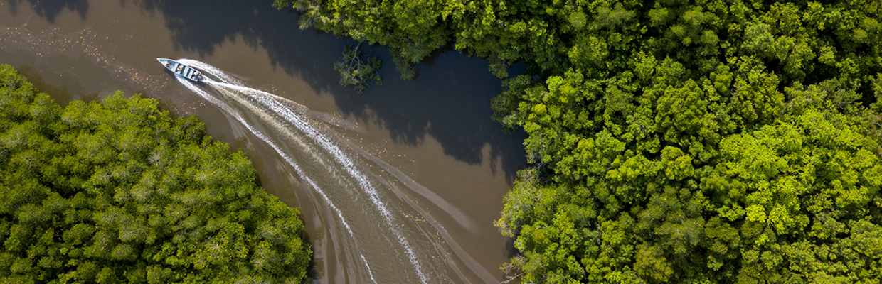 Boat sailing on the river